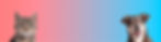 pet-banner_Easy-Resize.com (1).jpg